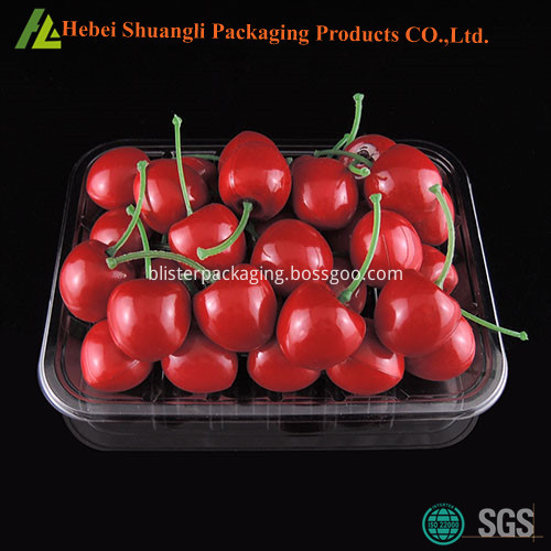 plastic fruit packaging plastic fruit packaging