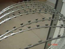 Razor Wire Concertina in coils