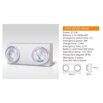 Batterie Back up Light Fixture