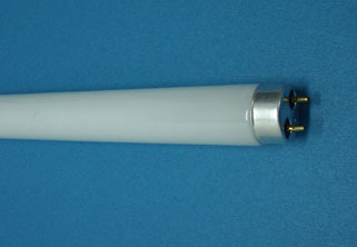 T5 TL-buis T8 triphosphor buisvormige lamp bi pin base