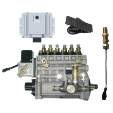 Electronical Governor Inline Pump