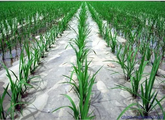Çim büyümesini önlemek için tarım için biyolojik olarak parçalanabilir malçlama filmi