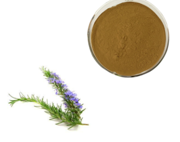 Rosmarinic Acid Rosemary Leaf Oleoresin Extract Powder
