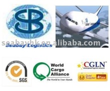 China professiona air feight to Genoa