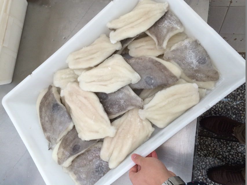 Frozen John dory fillet  Zeus faber