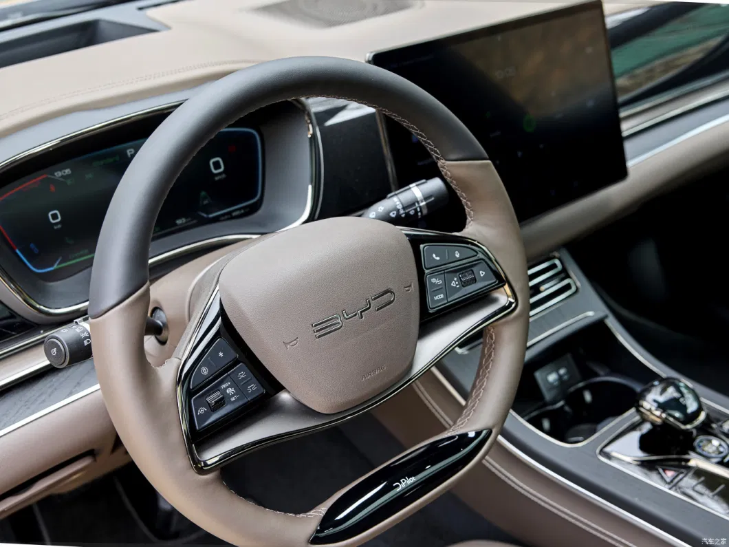 Made in China New Energy Vehicles Cheap 2023 Byd on Sale