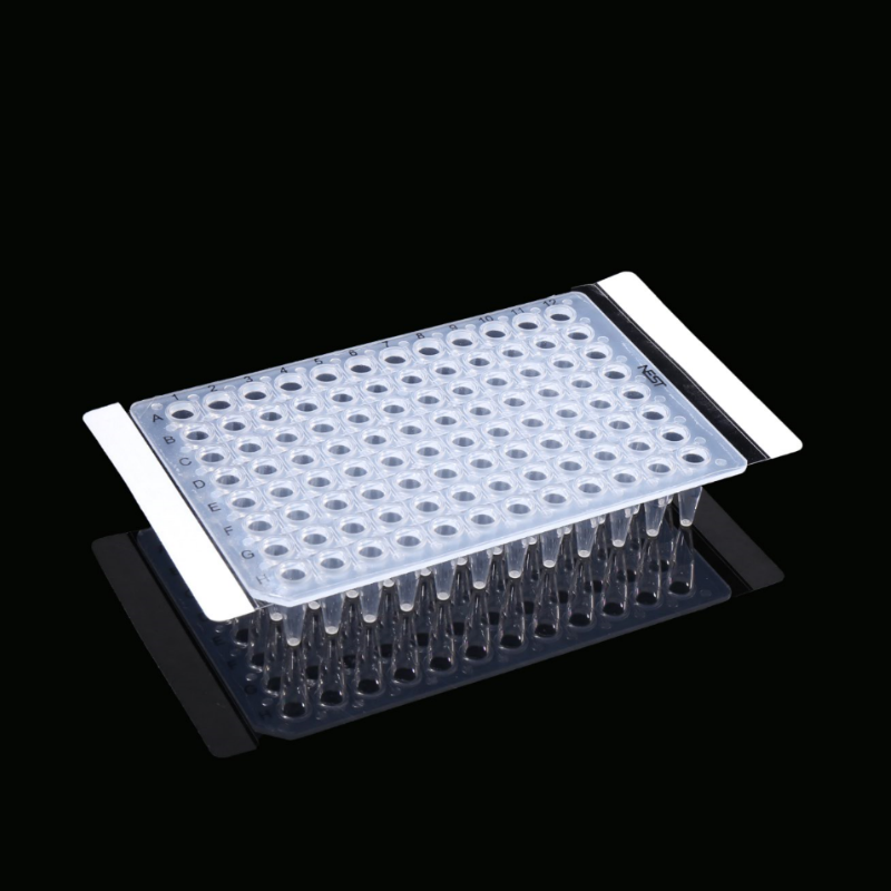 فيلم شفاف PCR الختم المشترك