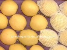 juicy yellow Golden pear