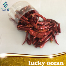 2017 year dried red chilli