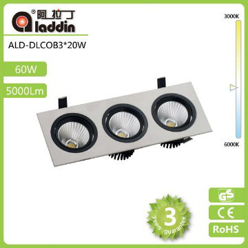 cob downing light 60w
