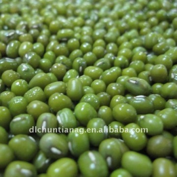 2011 green mung bean (organic )