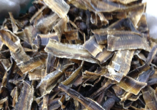 Traditional Chinese medicine earthworm