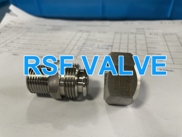 High quality Greaser Injector of Ball Valve