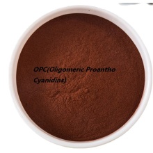 Factory price Oligomeric Proantho Cyanidins anti cancer