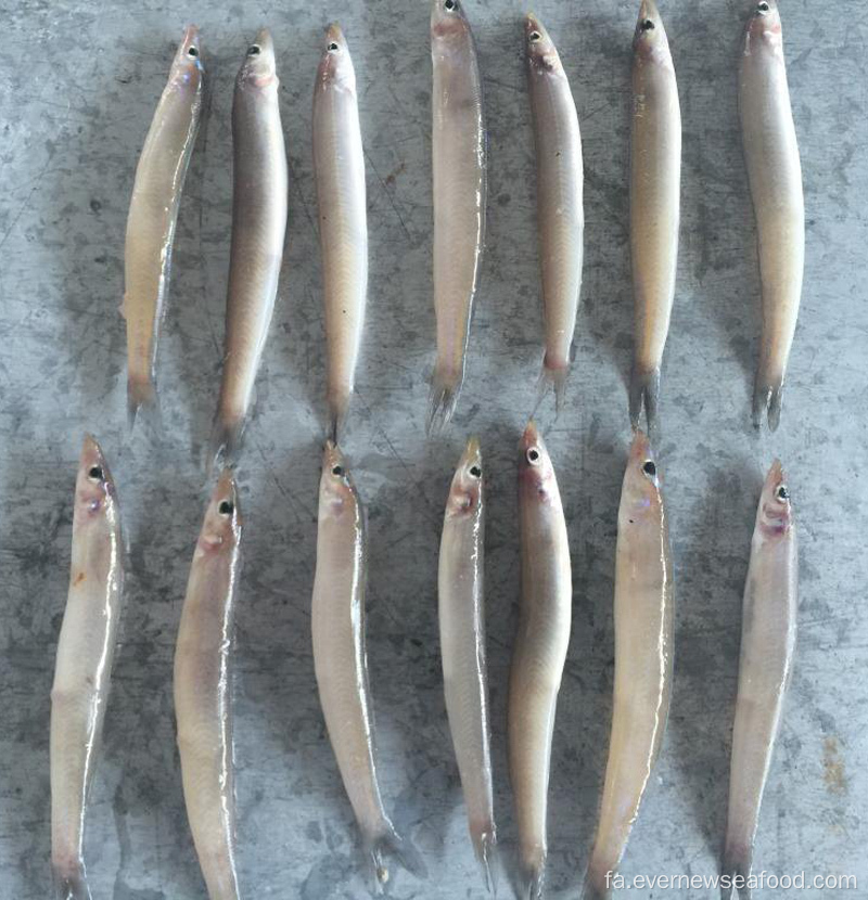 لنس شنی منجمد نو برای فروش