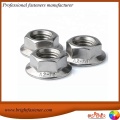 Porcas do flange BrightFastEner