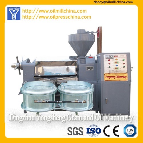 Small oil press Expeller machine