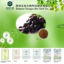 Best price for Grapefruit Seed Extract 95% OPC