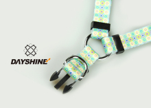 Factory Dog Lead and dog collar