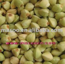 green buckwheat kernel