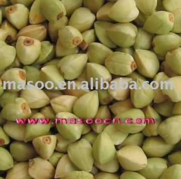 green buckwheat kernel