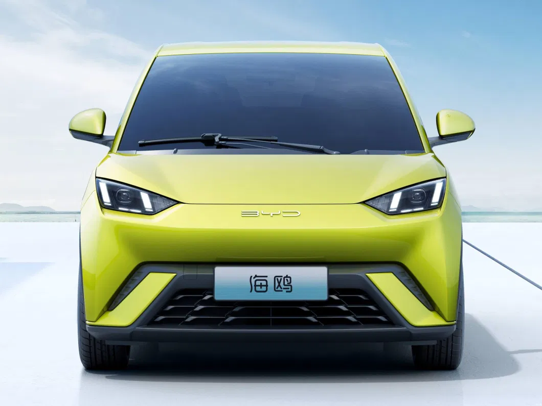 Byd Seagull EV Electric Cheap High Speed Long Range New Energy Battery EV Electrical Electric Car