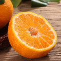 FRESH CITRUS ORANGE Jaune Couleur