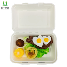 Disposable Biodegradable compostable Tableware Lunch Box