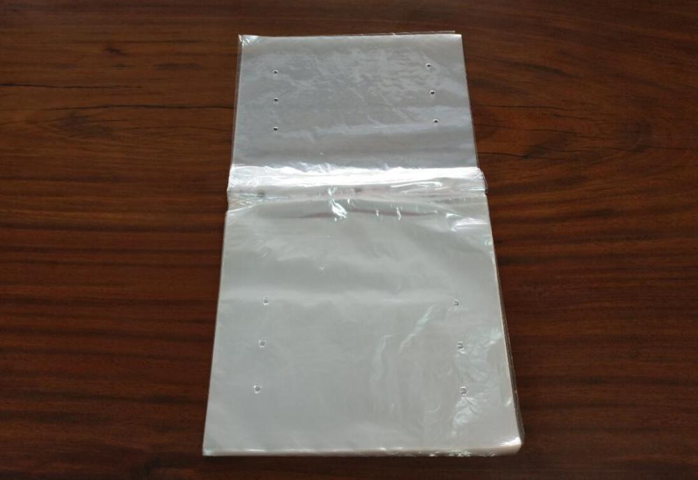 Clear Plastic Calendar Bag