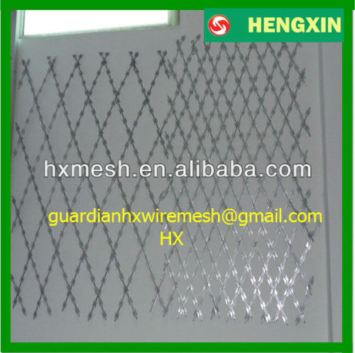 razor barbed wire netting/razor barbed wire price/concertina galvanized razor barbed wire