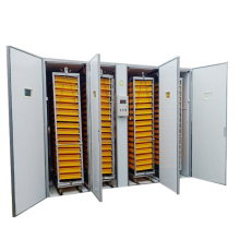 Computerize Incubators for Poultry: Hatching Eggs Machine for Sale