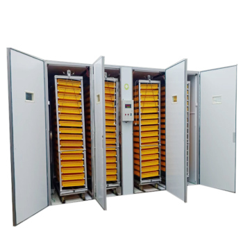 Computerize Incubators for Poultry: Hatching Eggs Machine for Sale