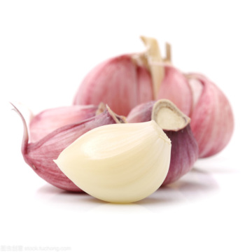 Fresh pure white garlic in china