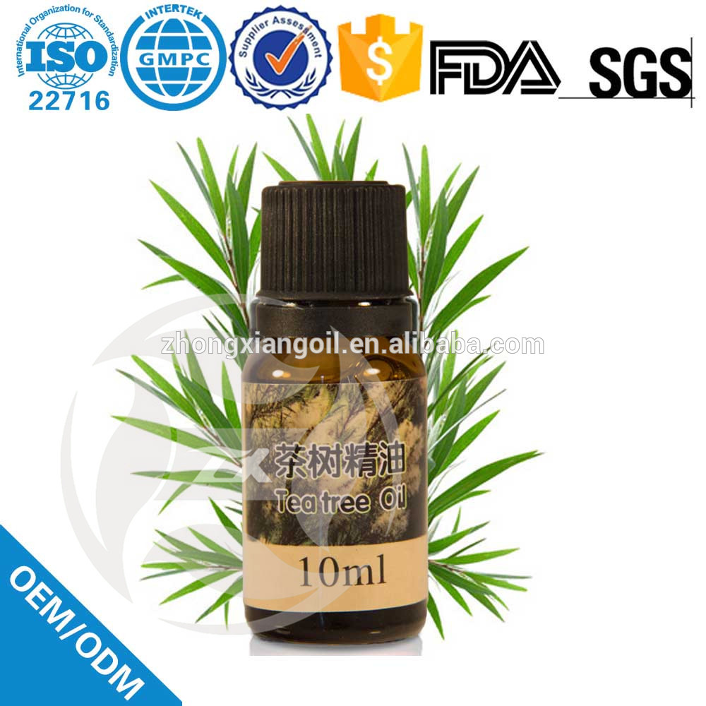 alta qualidade Australian Tea Tree Essential Oil