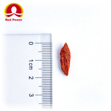 HALAL Red Goji Fruit