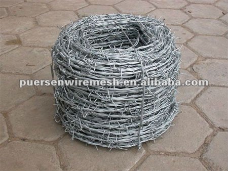 14 gauge High quality galvanized barbed wire for fence
