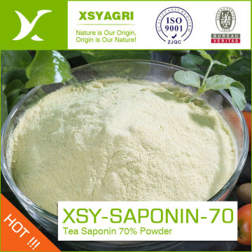 high purity Tea saponin powder with saponin 60%min