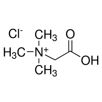 Benefits Of Betaine Hydrochloride With Pepsin