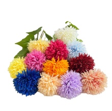 JH Factory Top Quality Dried Ball Chrysanthemum