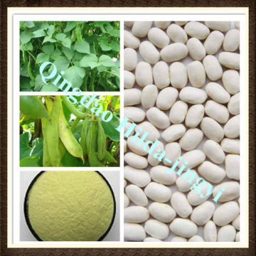 Natural White Kidney Bean Extract Phaseolin