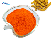 Curcumin price / Curcuma powder / Turmeric Powder