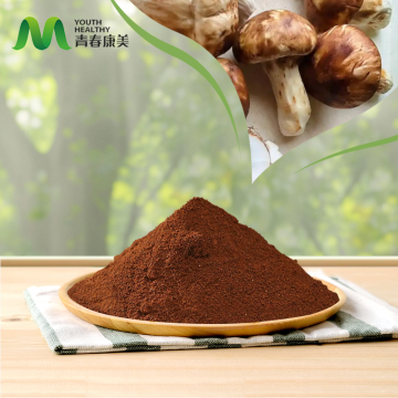 Agaricus Blazei Murrill Extract Powder