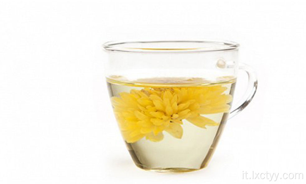 tè caldo del fiore del crisantemo di vendita calda
