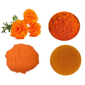 Fish Feed Lutein 2% 5% 10% Marigold extract