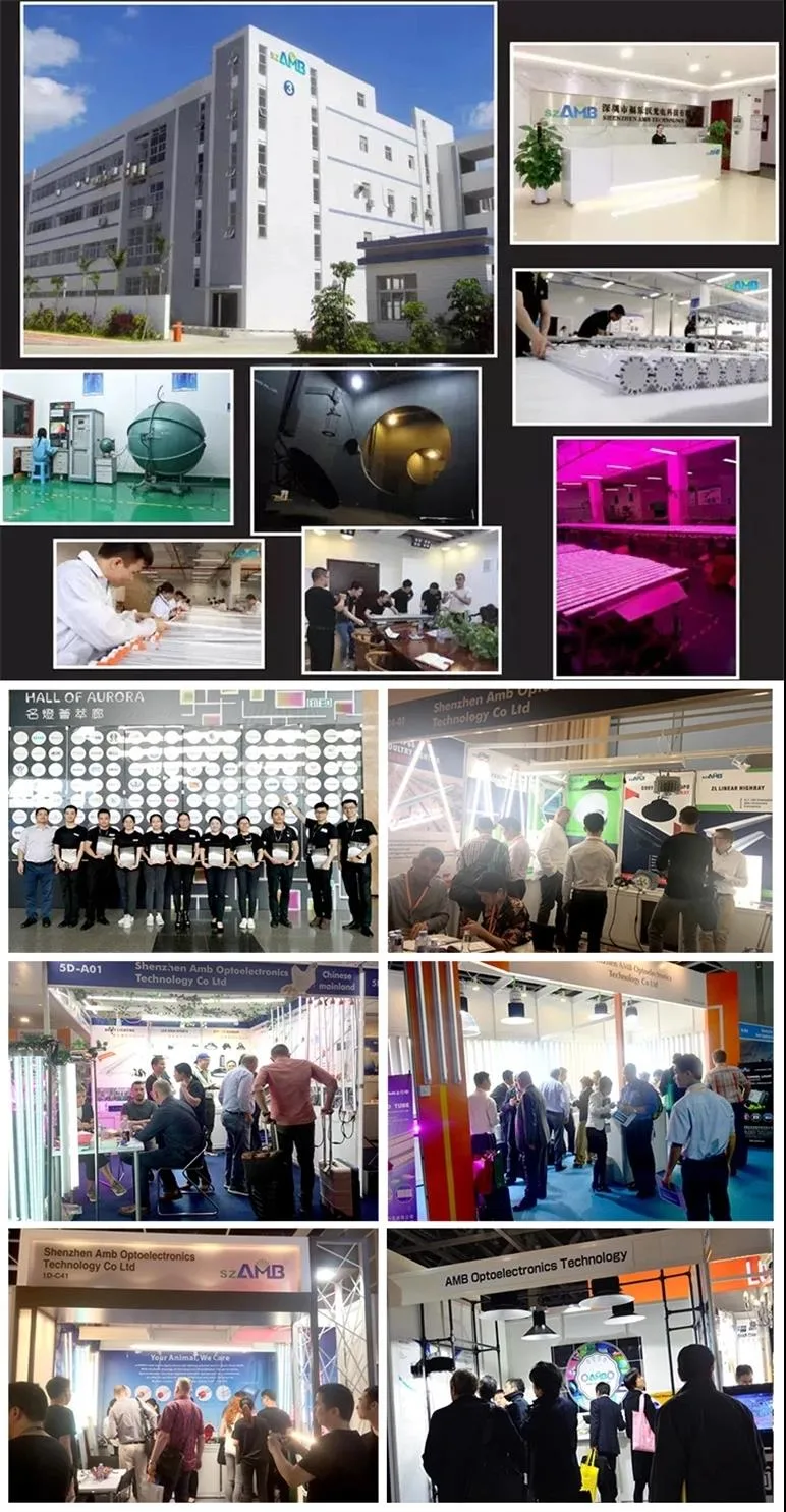 Poultry Lights IP67 LED Lighting Equipment for Breeder Poultry Cages