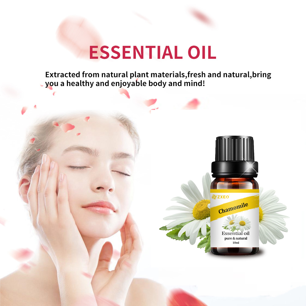 Bulk Großhandel Therapeutic Grad natürliche reine Kamille -Blütenblüten ätherische Öle Kamille für Aromatherapie