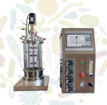 Laboratory Glass Bioreactor Fermenter Equipment Search
