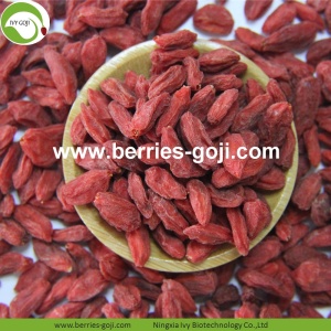 Rifornimento di fabbrica naturale sano perdere peso Goji