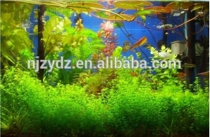 UVB Fluorescent T10/T12 Fluorescent plant grow light