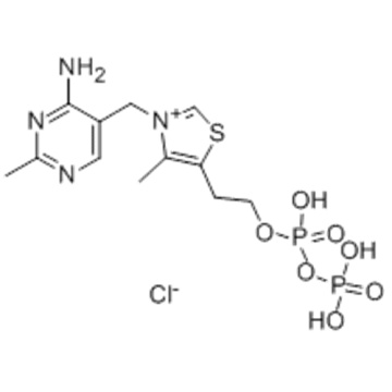 Thiazolium, 3 - [(4-amino-2-méthyl-5-pyrimidinyl) méthyl] -4-méthyl-5- (4,6,6-trihydroxy-4,6-dioxido-3,5-dioxa-4, 6-diphosphahex-1-yl) -, chlorure (1: 1) CAS 154-87-0